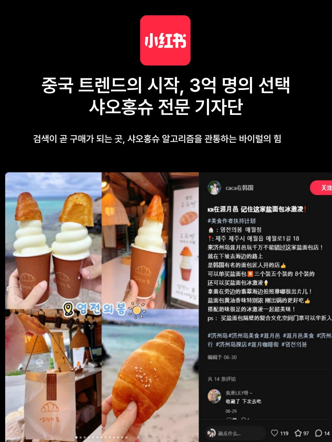 제주 염전의봄 샤오홍슈 레퍼런스